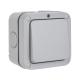 IP66 1 Gang Single Weatherproof Switch with Neon